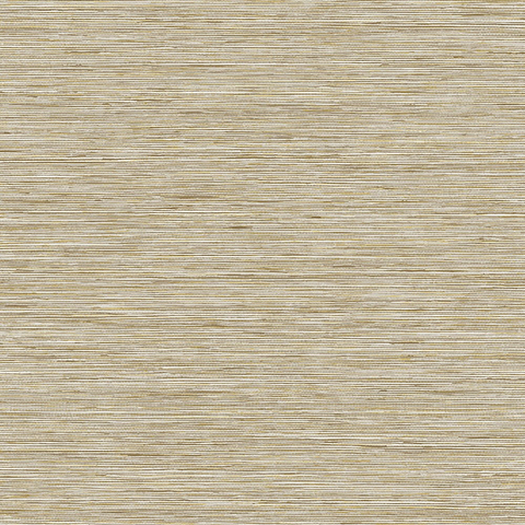 Обои Savannah Grass LS60405