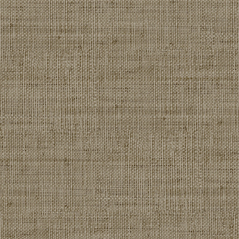 Обои Savannah Grass LS61117